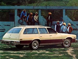 Buick Century Custom Wagon 1976 года